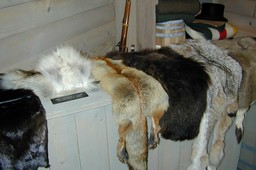 Furs, Pelts, and Hides